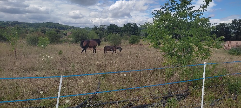 Aire camping-car � Saint-Astier (24110) - Photo 2